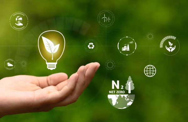 energy saving and environmental conservation icon concept in hand-held bulbs for environmental, social and governance in sustainable business and reducing global warming