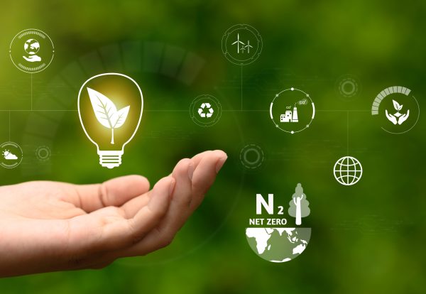 energy saving and environmental conservation icon concept in hand-held bulbs for environmental, social and governance in sustainable business and reducing global warming